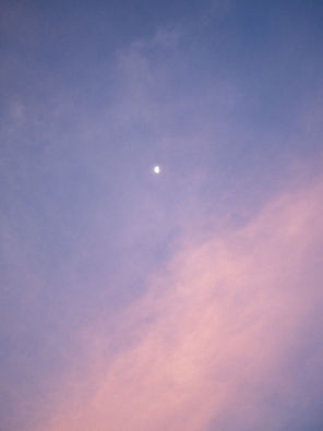 The Healing Ocean Yoga Retreat, Maldives, 25.04. - 05.02.2026, Deutschsprachiges Yoga Retreat, Ohana Yoga Studio, Elisabeth Lorbeer