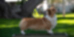 MSW_3685_edited.jpg