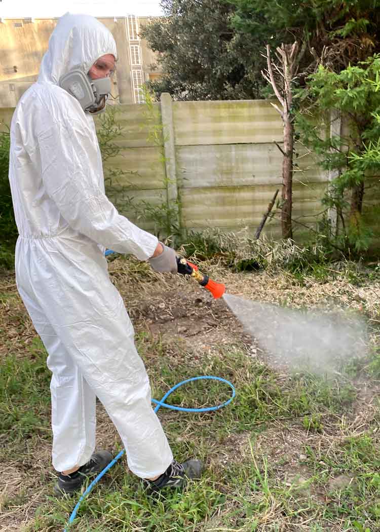 Disinfestazione-giardino.jpg