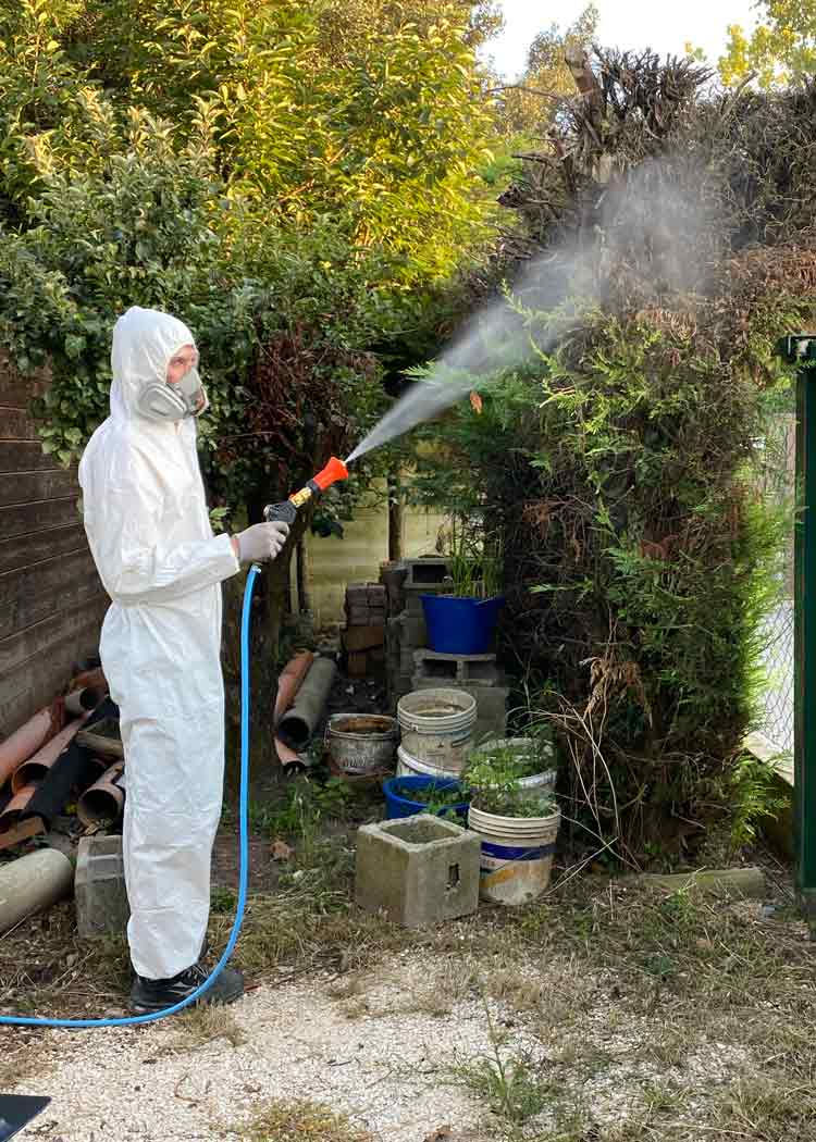 giardino-Disinfestazione.jpg