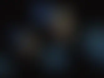 Should Starlink not have been a referendum after the degeneration it caused? II hear the megalomane hybrid workers were dissapointing in the end