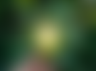 GWP & Accountability, Sustainable Engineering Practices By Paul Lowes