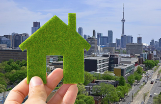 Holistic Sustainability