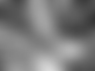 The Evolution of Interior Construction: From Trade Silos to Integrated Delivery