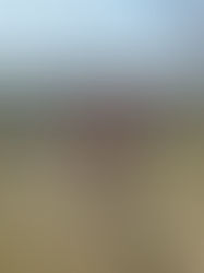 スポ少大会1日目結果