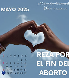 WhatsApp Image 2025-05-10 at 7.54.46 PM (1).jpeg