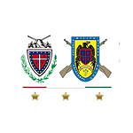 Post de Intagram Día de la Independencia de México Ilustrado Amarillo Verde Rosa (3).png