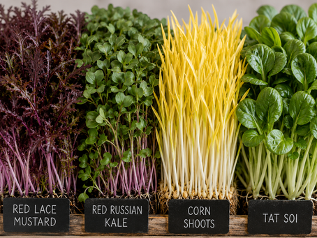 New Crops Coming Soon