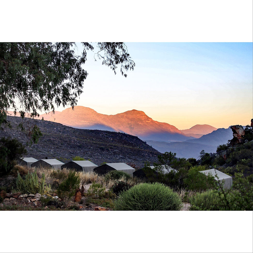 Gecko Creek, Cederberg SA