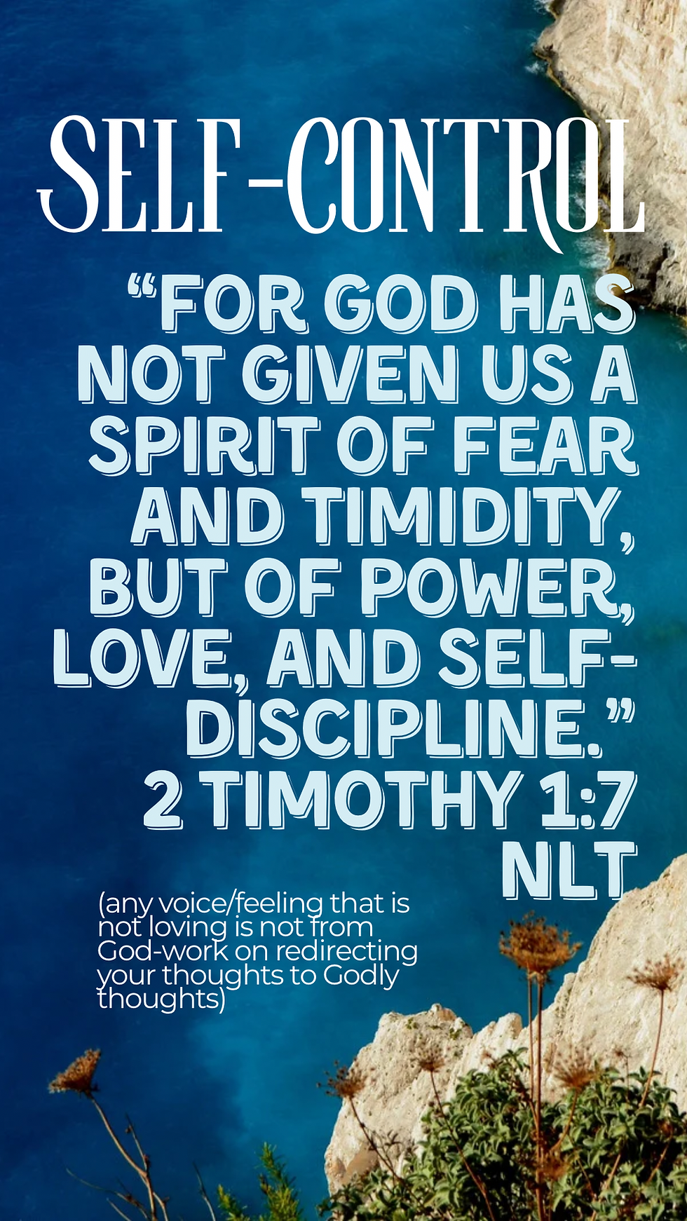 “For God has not given us a spirit of fear and timidity, but of power, love, and self-discipline.” 2 Timothy 1:7 NLT