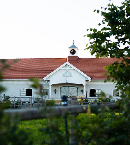 Skjærgårdshagen-165.jpg
