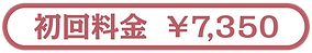 膣・子宮ケアサロン　ハナ　料金