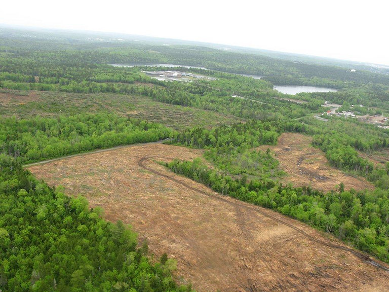 Sandy Lake June 2013.jpg