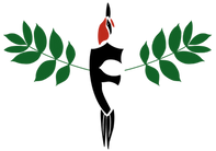 Official NSFF logo (002).png