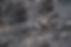 close-up-marble-texture-background.jpg