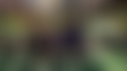 31st Annual Calaveras Grape Stomp Recap and Results!