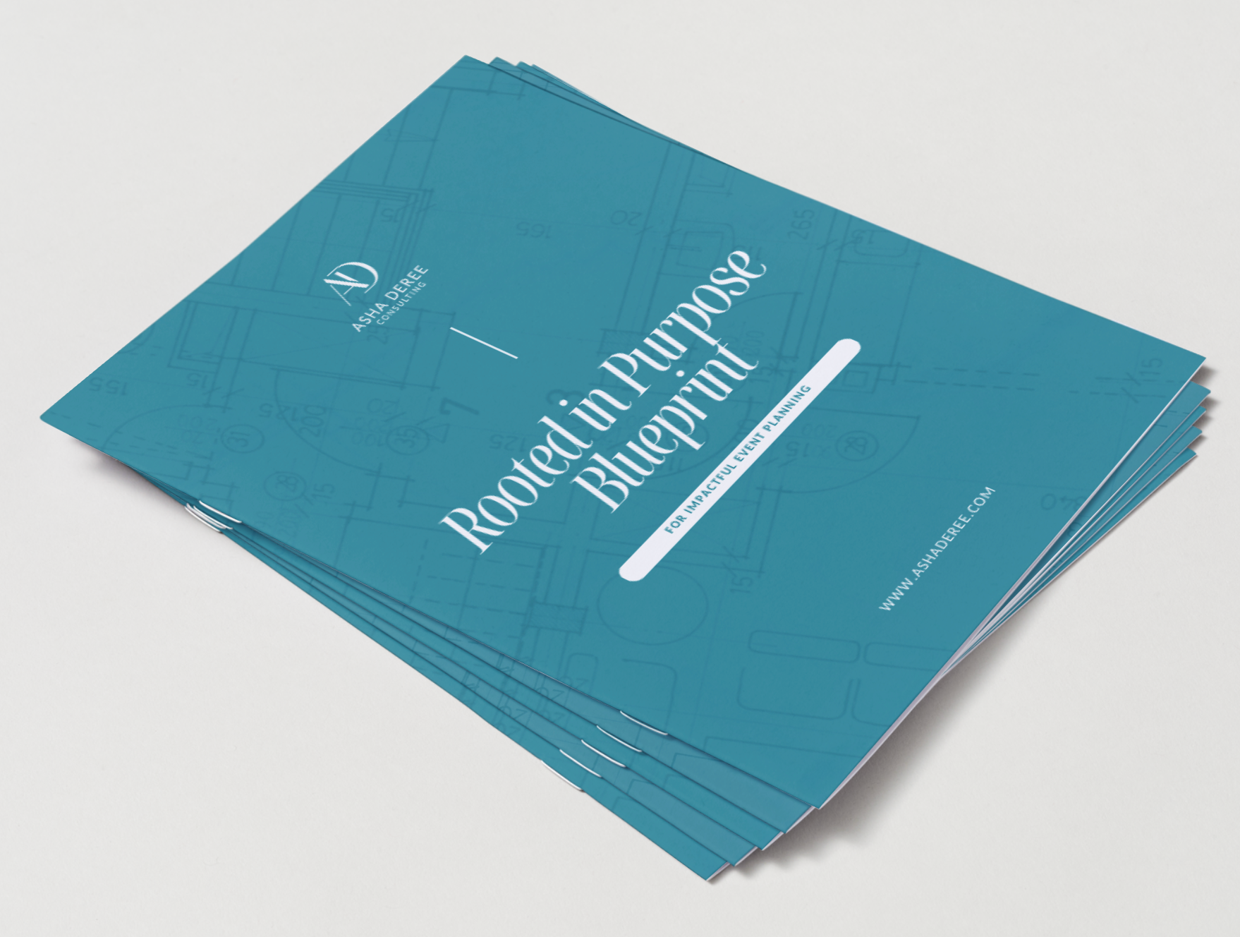 "Rooted in Purpose" Blueprint (Booklet)