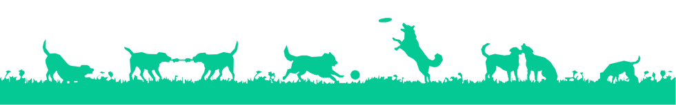Untitled design (52).png