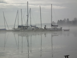 NEBEL tolle Stimmung