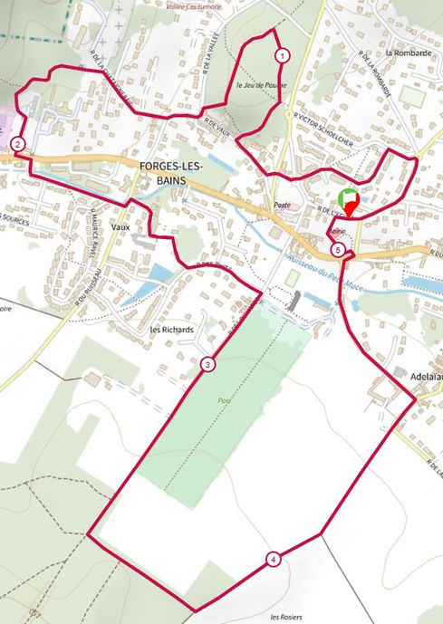 5 km FDT v2_edited.jpg