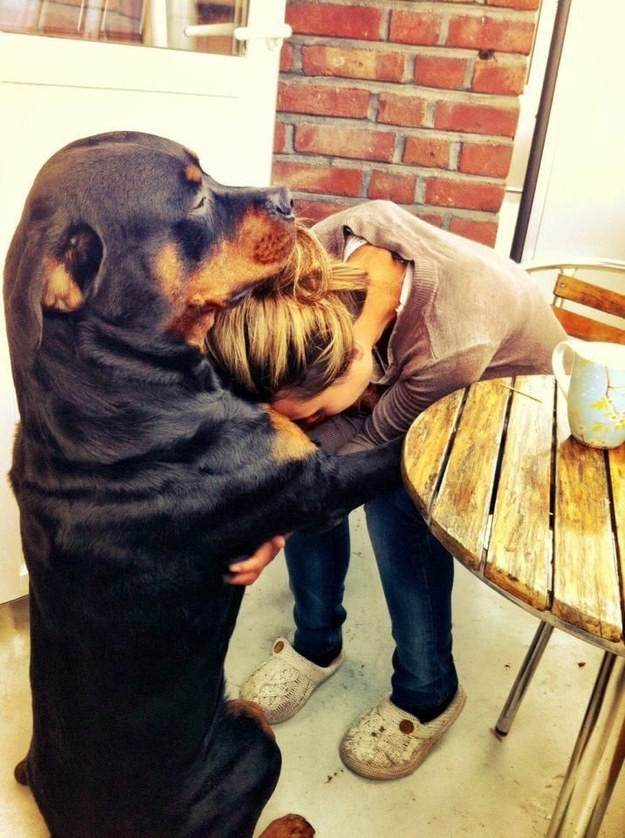 man's best friend