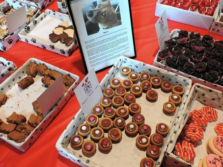 Sweets Sale Going to the Dogs