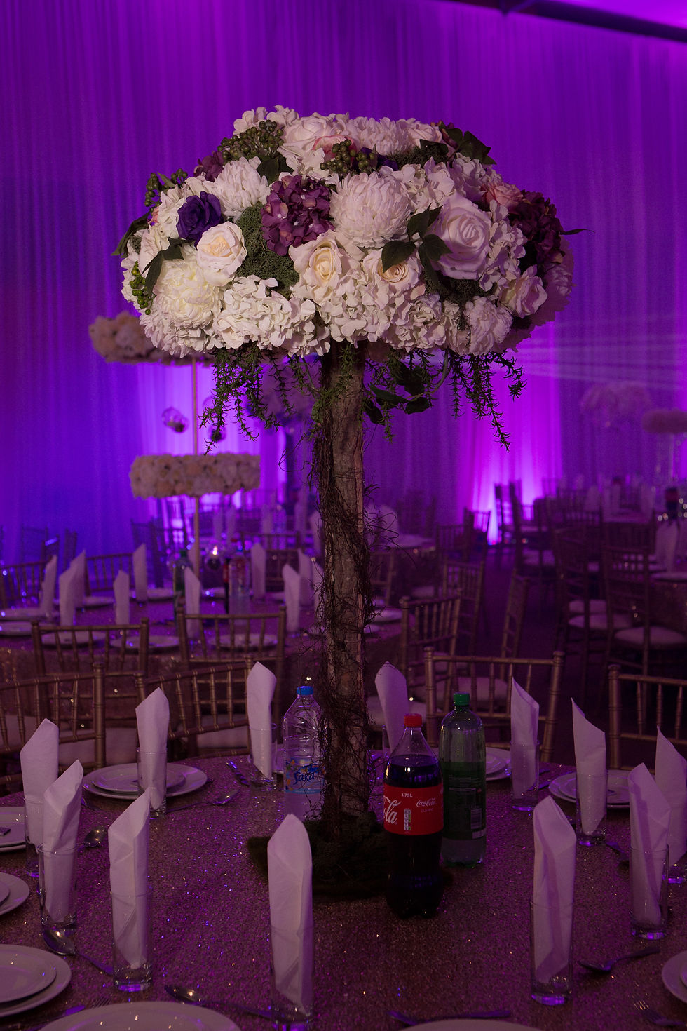 Enchanted Tree