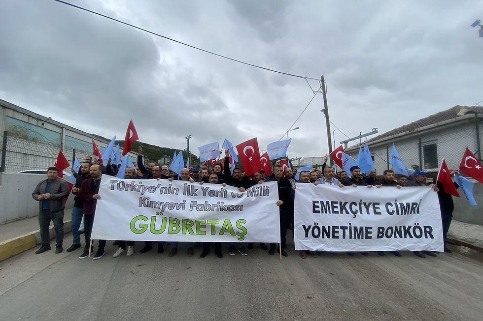 Grevdeki Gübretaş işçilerine 'Para yok' denilmişti
Tarım Kredi Holdingde AKP'li yöneticilere yüzde 60 zam