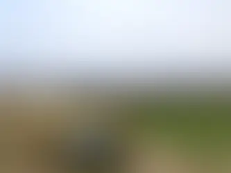 Kuruyan Marmara Gölü için ortak çözüm çağrısı | CHP’li Başevirgen: Kalıcı su takviyesi sağlanmalı