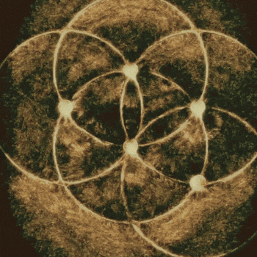 circledesatgifcomp.gif