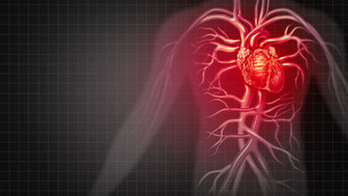 The Heart in Chinese Medicine