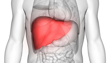 Liver Function In Chinese Medicine
