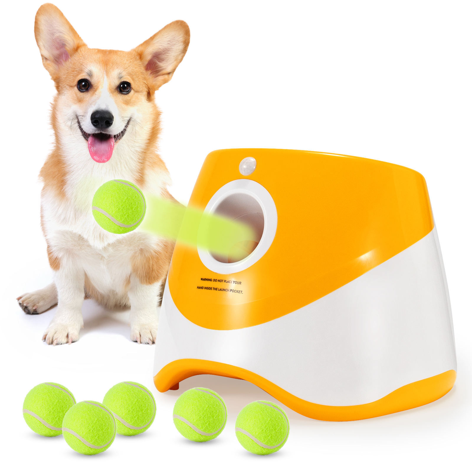 FetchMate - for playtime