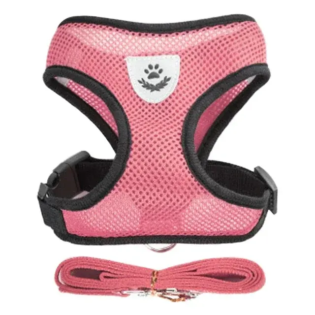 Thumbnail: Adjustable Mesh Vest for Comfortable, Tug-Free Walks