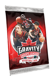 GHL_Foil_Angled_(Team).png