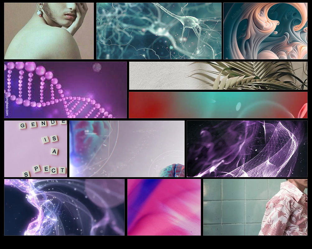 FLUID_Mood_Board_(4_Rows)_V4.jpg