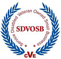 sdvosb.jpeg