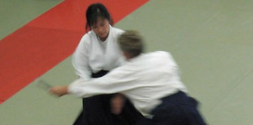 aikido martial arts self defense mixed martial arts edmonton area st. albert alberta workout fitness