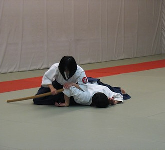 aikido dojo fitness martial art yeg edmonton area st. albert alberta samurai self defense
