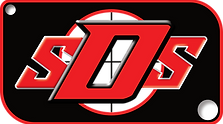 dss logo.png