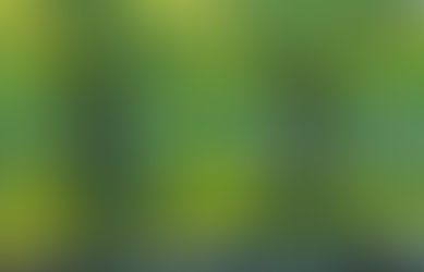 Default Sharp Printer to Black and White