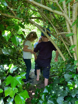 WhatsApp Image 2021-01-31 at 00.26.14