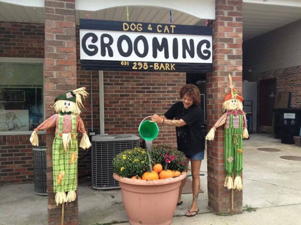 Katie's Kuts Dog and Cat Grooming