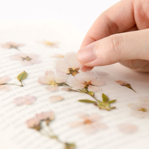 Thumbnail: Appree Cherry Blossom Sticker
