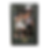 framing ashtabula.png