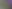 IMG_1340.jpeg