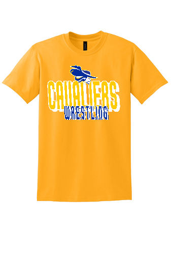 Thumbnail: 8000 Gildan® Cavaliers Logo - DryBlend® 50 Cotton/50 Poly  Victory Pose T-Shirt