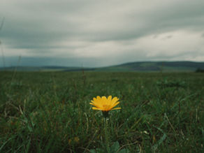 What 207,000 Jobless Claims Really Means For Your 2026 Job Search