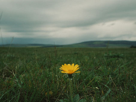 What 207,000 Jobless Claims Really Means For Your 2026 Job Search