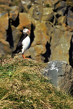 DSC_0731.jpg